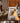 Adjustable Solid Wood Electric Desk mu - gesjsz - deskMUTUKISPACE