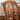 Solid Beech Dining Chairs Set of 2 Ergonomic Nordic Style xbjj - sbhcy - DchairMUTUKISPACE