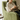 Velvet sofa for single person, perfect for balconies or bedrooms xbjj - mlsf - sofaMUTUKISPACE