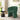 Modern style simple and elegant chair, green leisure chair, suitable for dining/bedroom/living room/reception desk (assembly required) - GreenMUTUKISPACE