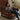 Luxurious Dark Brown Genuine Leather chair with Ash Wood Frame - Supreme Comfort & Style Hersa - 1650MUTUKISPACE