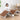 Stylish Multi - color Bed with Sturdy Steel Frame and Laminated Wood - Comfortable Foam and Soft Polyester Finish fcsnm - 911MUTUKISPACE