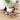 Stylish Multi - color Bed with Sturdy Steel Frame and Laminated Wood - Comfortable Foam and Soft Polyester Finish fcsnm - 911MUTUKISPACE