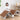 Stylish Multi - color Bed with Sturdy Steel Frame and Laminated Wood - Comfortable Foam and Soft Polyester Finish fcsnm - 911MUTUKISPACE