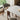 Elegant Ash Wood Table with Durable Sintered Stone Top fjx - 2660MUTUKISPACE