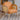 Stylish Scratch - Resistant Rubber Wood Chair in Off White, Orange, and Green Fabric fsmy - 452MUTUKISPACE