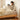 Stunning Beech Wood Metal Platform Bed - Natural Warm Tones for Stylish Bedrooms fxgmz - 585MUTUKISPACE