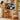 Stylish Multi - Layer Beech Wood Table with Sturdy Metal Legs fxgmz - 618MUTUKISPACE