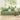 Luxurious Multi - Color Sofabed - Perfect Blend of White, Beige, Violet, Light Blue, Green, Gray, and Brown with Oak Wood Coir Down fxl - 963MUTUKISPACE