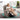 Stylish & Durable Multicolor Sofa - Scratch - Resistant Fabric, Metal & Particle Board Frame fykl - 409MUTUKISPACE