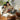 Elegant Green Upholstered Chair with Off White and Natural Cherry Wood Finish fyx - 827MUTUKISPACE
