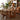 Stunning Natural Cherry Wood Table - Premium Fraxinus Mandshurica Design fyx - 841MUTUKISPACE