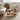 Elegant Cherry Wood and Glass Coffee Table with Stylish Rattan Accents fyx - 880MUTUKISPACE