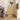 Round Gold Coffee Table – Sleek Modern Accent Furniture hch - 3099MUTUKISPACE