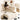 Elegant White Pine Wood Sofabed - Timeless Design for Modern Homes hksc - 992MUTUKISPACE