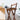 Stylish Dark Brown Bamboo Chair | Natural Wood Finish hsl - 131MUTUKISPACE