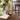 Exquisite Tulipwood Dining Table – Elegant Centerpiece for Your Home hsmjx - 4158MUTUKISPACE