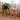 Elegant Brown Cherry & Black Walnut Natural Wood Stool – Perfect for Home & Office Decor hykmq - 790MUTUKISPACE