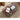 Stunning Oak Wood Coffee Table - Natural Brown Finish hym - 1536MUTUKISPACE