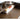 Natural Brown Oak Wood Bedside Cupboard – Premium Tung Wood Finish hym - 475MUTUKISPACE