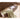 Stunning Natural Brown Oak & Tung Wood Cabinet for Elegant Home Decor hym - 476MUTUKISPACE