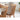 Dining Table Dining Table Stylish Scandinavian Natural Wood Oak Square Desk B3121 Chair Add ysys - a8111 - DtableMUTUKISPACE