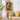Storage Rack Shelf Corner Rack Rack Storage Shelf Entrance Bookshelf Corner Wooden Nordic Stylish ysys - b3108 - rackMUTUKISPACE