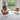 Modern Light Brown and White PU Leather Chair with Stainless Steel Legs - Stylish and Comfortable Seating yw - 211MUTUKISPACE