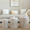 Set of 3 Whitewash Wood Coffee Table with clear and visible tree ringsMUTUKISPACE
