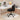 Comfortable 3D Mesh Study Chair: Adjustable & 360° Swivel FU01080MUTUKISPACE