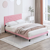 Queen · Pink