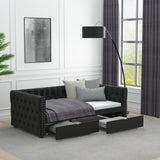 79.5" · Twin · W834P151264