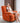 Modern Multi - Color Sofa with Particle Board and Metal Frame - Silicon Fill for Ultimate Comfort fykl - 412MUTUKISPACE