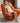 Modern Multi - Color Sofa with Durable Frame & Comfortable Fill fykl - 421MUTUKISPACE