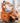 Modern Techno Fabric Sofa - Vibrant Orange, Gray, Blue, and Red with Silicon Fill and Metal Frame fykl - 429MUTUKISPACE