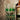Lattice Band Whiskey Glass - Detail 3