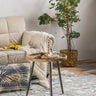 Elegant Tea Table for Cozy Living Spaces hdst - 4259MUTUKISPACE
