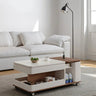 Modern Marble Coffee Table with Smart Storage and Sleek Design hfcjp - 4004MUTUKISPACE