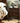 Classic Nightstand Crafted from Tulipwood for Elegant Bedroom Décor hsmjx - 4170MUTUKISPACE