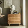 Elegant Natural Wood Ash Cabinet with Stylish Rattan Accents htzm - 1526MUTUKISPACE