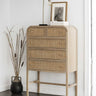 Elegant Dark Natural Wood Cabinet with Stylish Rattan and Ash Wood Accents tzm - 534MUTUKISPACE