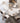 Luxurious Synthetic Leather Chair - Off White & Brown Design ybn - 974MUTUKISPACE